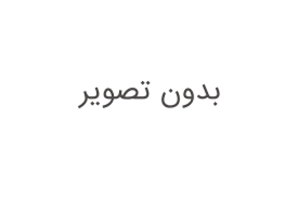 بدون تصویر