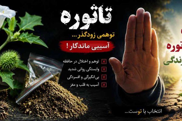 عکس تاتوره برای استفاده با متن
