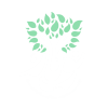 نویار